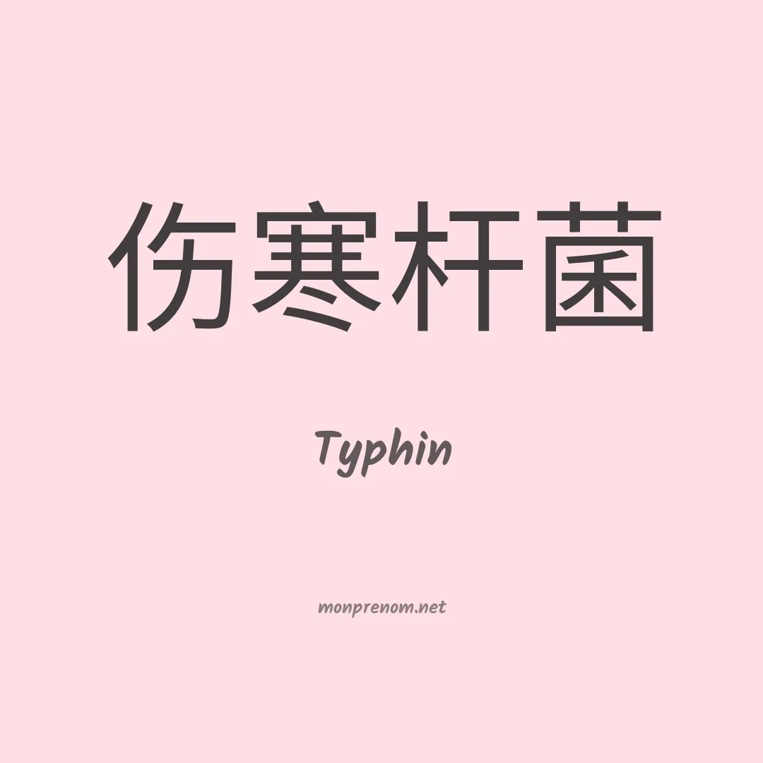 Typhin en chino