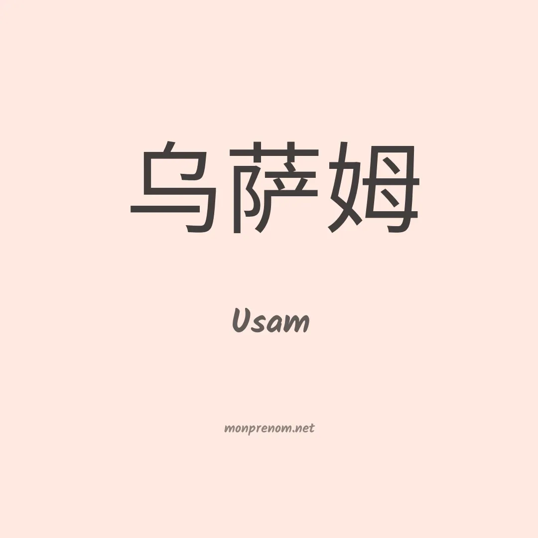 Usam en chino