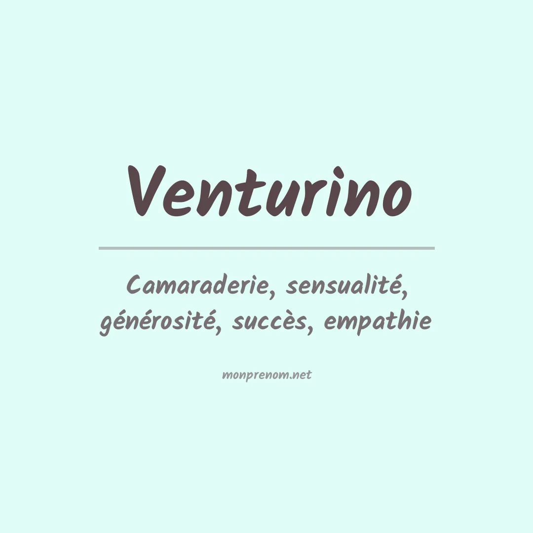 Signification du Prénom Venturino