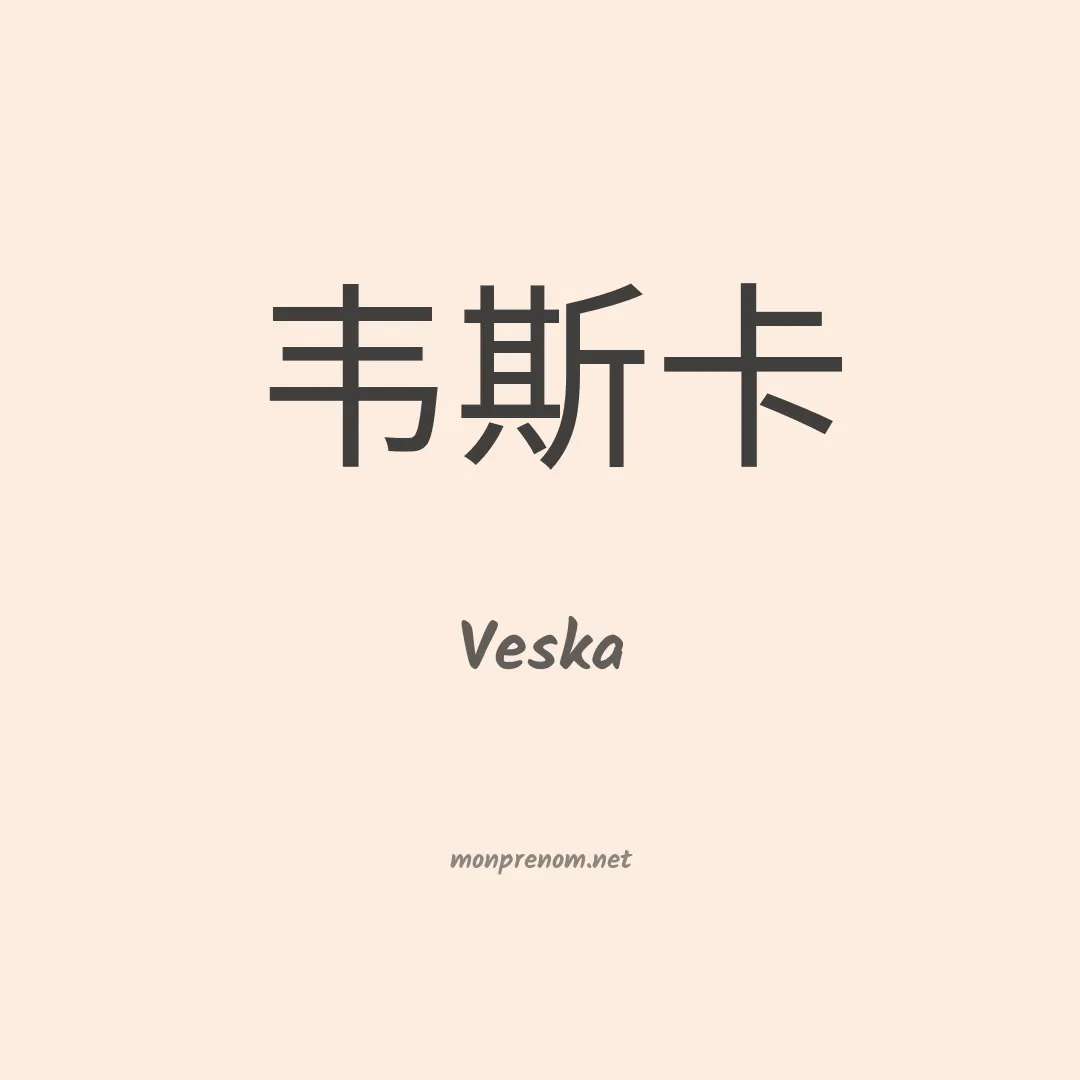 Veska en chino