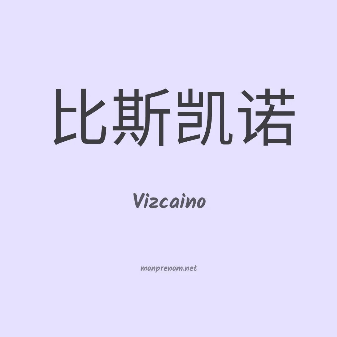 Vizcaino en chino