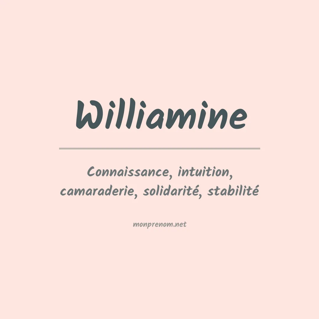 Signification du Prénom Williamine Signification du Prénom Williamine