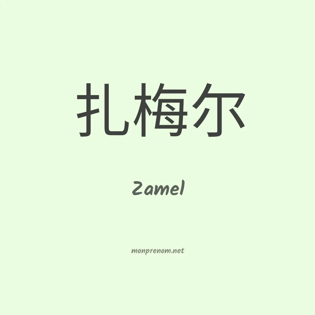 Zamel en chino