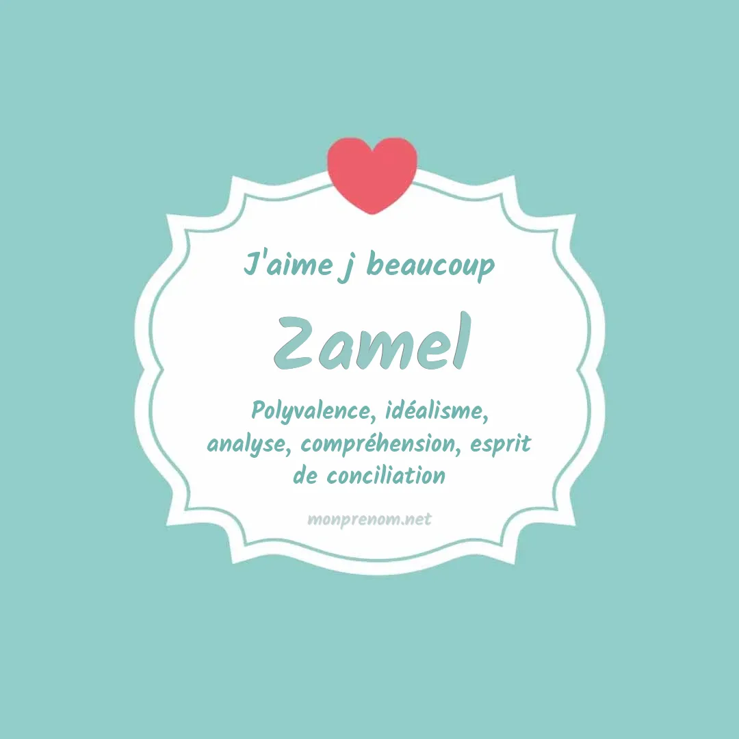 j'aime beaucoup Zamel