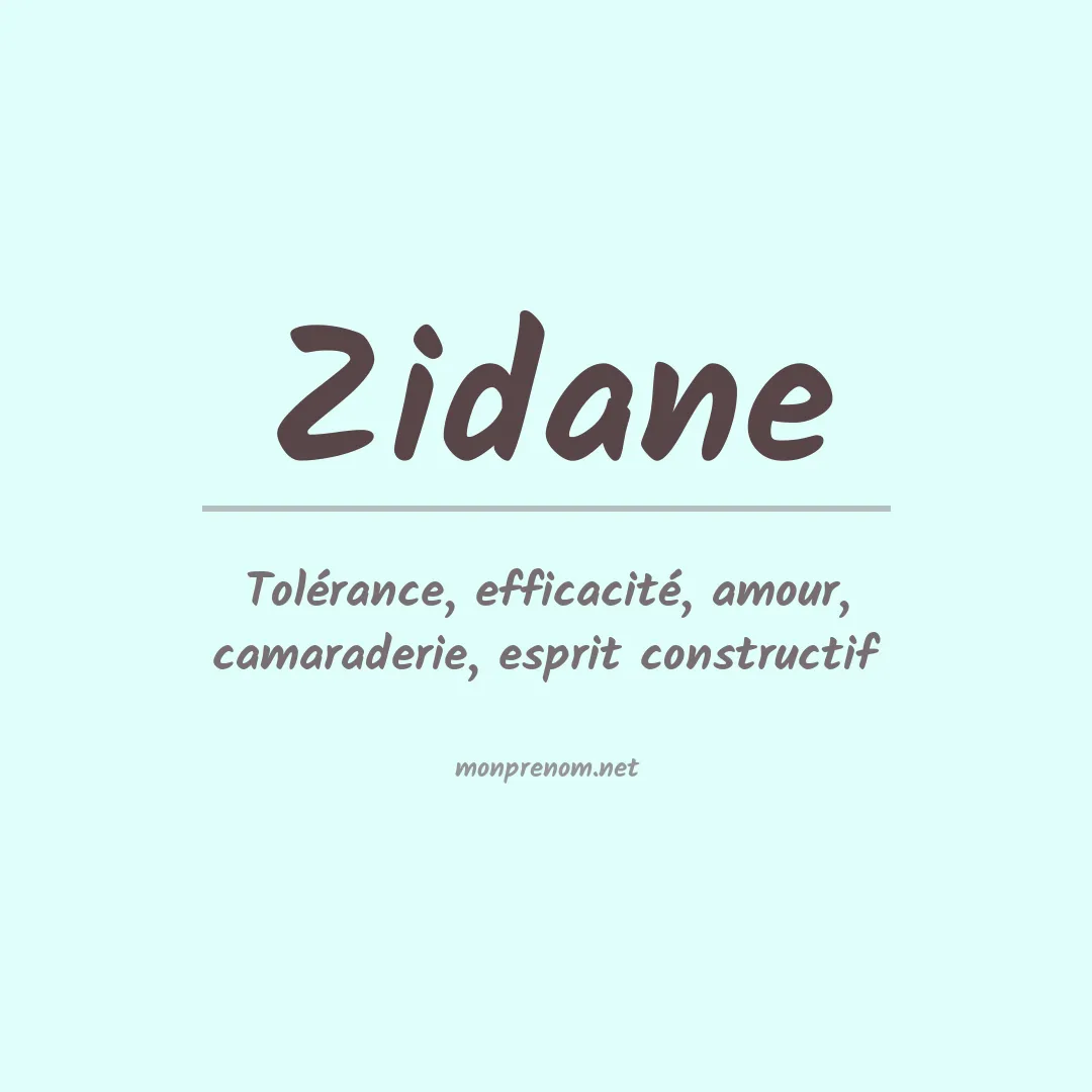 Signification du Prénom Zidane Signification du Prénom Zidane